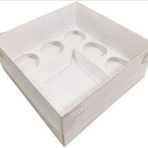 Bento 5 Clear Lid Box